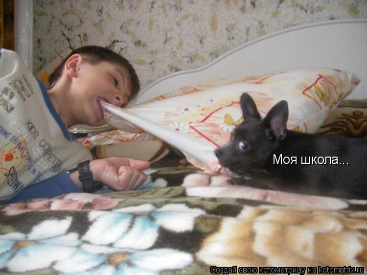 Моя школа...... Котоматрица: Моя школа...