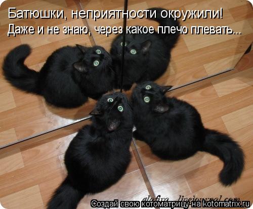 Даже и не знаю, через какое плечо плевать... Батюшки, неприятности окружили!... Котоматрица: Даже и не знаю, через какое плечо плевать... Батюшки, неприятности окружили!
