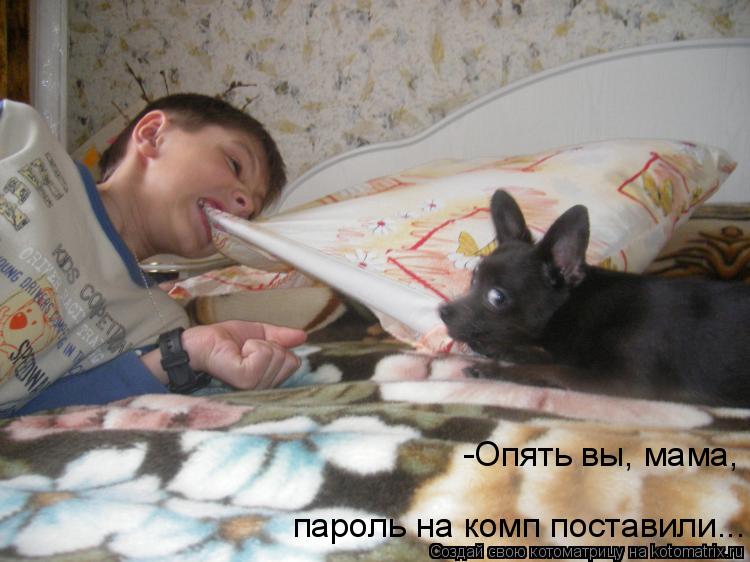 Котоматрица: -Опять вы, мама,  пароль на комп поставили...
