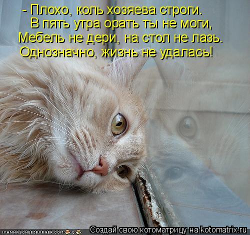 - Плохо, коль хозяева строги. В пять утра орать ты не моги, Мебель не дери, на стол не лазь. Однознач... Котоматрица: - Плохо, коль хозяева строги. В пять утра орать ты не моги, Мебель не дери, на стол не лазь. Однозначно, жизнь не удалась!