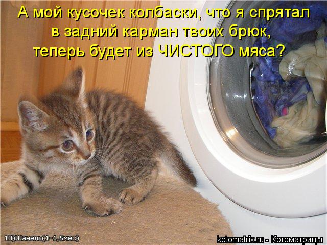 Котоматрица: А мой кусочек колбаски, что я спрятал в задний карман твоих брюк, теперь будет из ЧИСТОГО мяса?