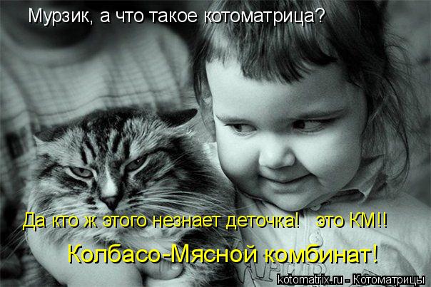 Мурзик, а что такое котоматрица? Да кто ж этого незнает деточка! это КМ!! Колбасо-Мясной комбинат!... Котоматрица: Мурзик, а что такое котоматрица? Да кто ж этого незнает деточка! это КМ!! Колбасо-Мясной комбинат!