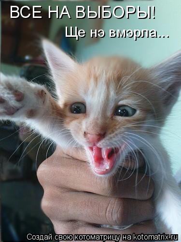 ВСЕ НА ВЫБОРЫ! Ще нэ вмэрла...... Котоматрица: ВСЕ НА ВЫБОРЫ! Ще нэ вмэрла...