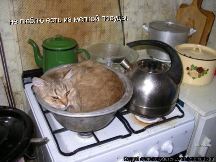не люблю есть из мелкой посуды.... Котоматрица: не люблю есть из мелкой посуды.