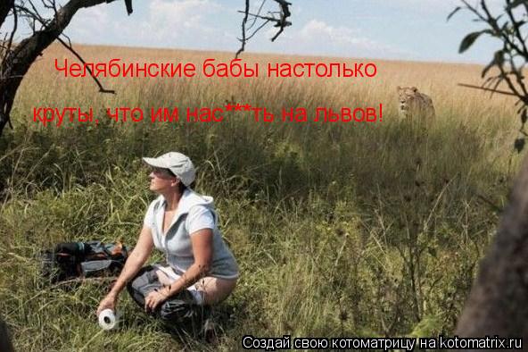 Котоматрица: Челябинские бабы настолько круты, что им нас***ть на львов!