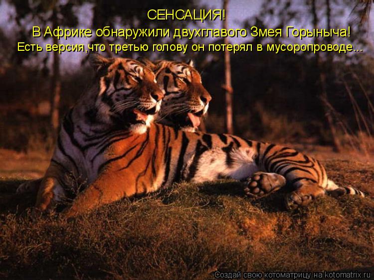 Котоматрица: СЕНСАЦИЯ! В Африке обнаружили двухглавого Змея Горыныча! Есть версия,что третью голову он потерял в мусоропроводе...