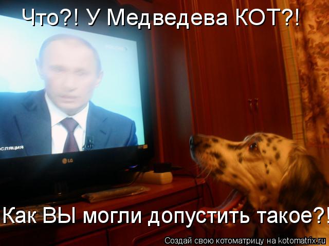 Котоматрица: Что?! У Медведева КОТ?! Как ВЫ могли допустить такое?!