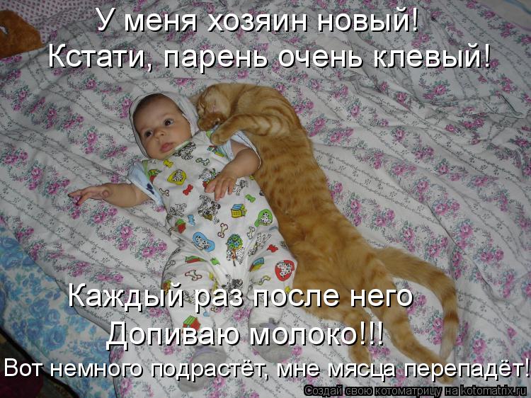 Котоматрица: У меня хозяин новый! Кстати, парень очень клевый! Каждый раз после него  Вот немного подрастёт, мне мясца перепадёт! Допиваю молоко!!!