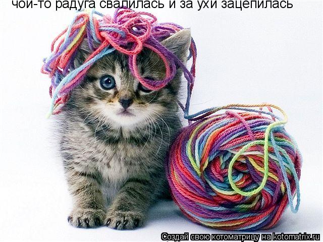 Котоматрица: чой-то радуга свалилась и за ухи зацепилась