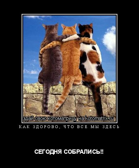 КАК ЗДОРОВО, ЧТО ВСЕ МЫ ЗДЕСЬ СЕГОДНЯ СОБРАЛИСЬ!!... Котоматрица: КАК ЗДОРОВО, ЧТО ВСЕ МЫ ЗДЕСЬ СЕГОДНЯ СОБРАЛИСЬ!!