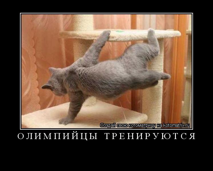 ОЛИМПИЙЦЫ ТРЕНИРУЮТСЯ ... Котоматрица: ОЛИМПИЙЦЫ ТРЕНИРУЮТСЯ
