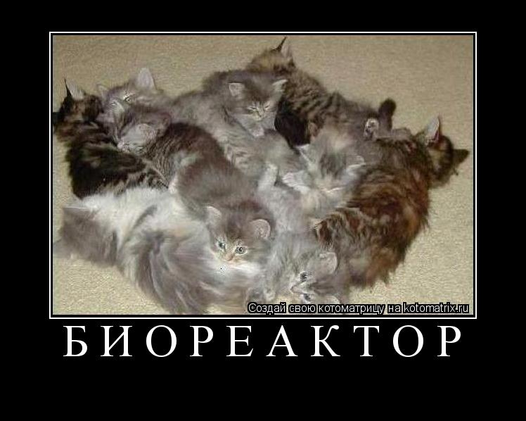 БИОРЕАКТОР ... Котоматрица: БИОРЕАКТОР