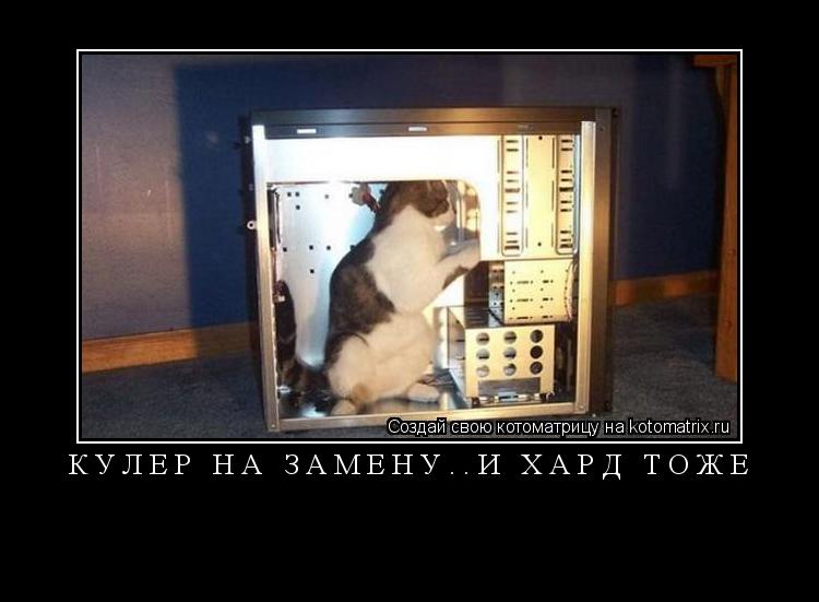 КУЛЕР НА ЗАМЕНУ..И ХАРД ТОЖЕ ... Котоматрица: КУЛЕР НА ЗАМЕНУ..И ХАРД ТОЖЕ