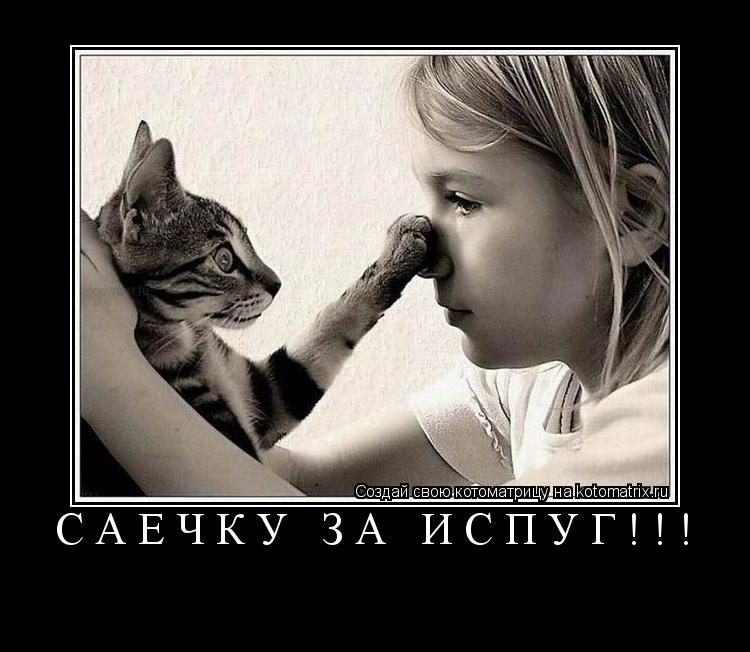 САЕЧКУ ЗА ИСПУГ!!! ... Котоматрица: САЕЧКУ ЗА ИСПУГ!!!