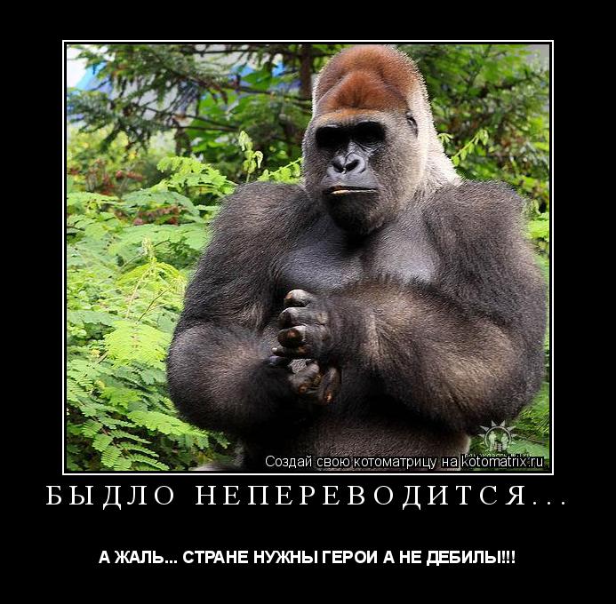 БЫДЛО НЕПЕРЕВОДИТСЯ... А ЖАЛЬ... СТРАНЕ НУЖНЫ ГЕРОИ А НЕ ДЕБИЛЫ!!!... Котоматрица: БЫДЛО НЕПЕРЕВОДИТСЯ... А ЖАЛЬ... СТРАНЕ НУЖНЫ ГЕРОИ А НЕ ДЕБИЛЫ!!!