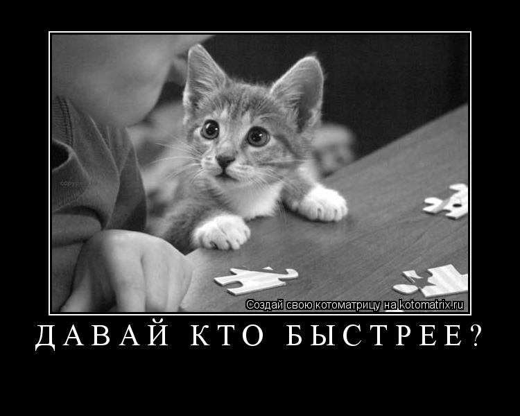 ДАВАЙ КТО БЫСТРЕЕ? ... Котоматрица: ДАВАЙ КТО БЫСТРЕЕ?