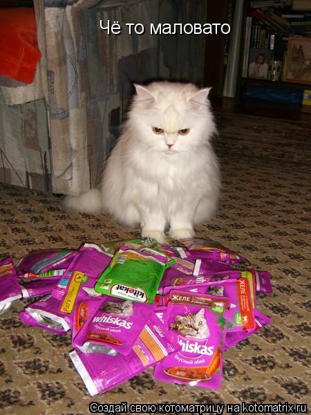 Чё то маловато... Котоматрица: Чё то маловато
