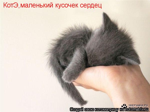 КотЭ,маленький кусочек сердец... Котоматрица: КотЭ,маленький кусочек сердец