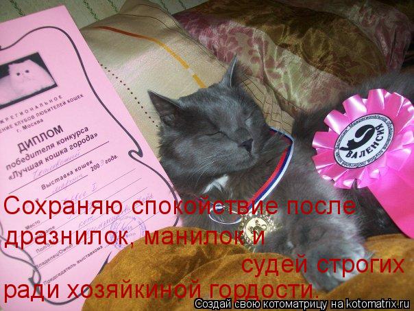 Сохраняю спокойствие после дразнилок, манилок и судей строгих ради хозяйкиной гордости.... Котоматрица: Сохраняю спокойствие после дразнилок, манилок и судей строгих ради хозяйкиной гордости.