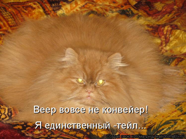 Веер вовсе не конвейер! Я единственный -тейл...... Котоматрица: Веер вовсе не конвейер! Я единственный -тейл...