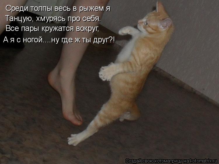 Среди толпы весь в рыжем я Танцую, хмурясь про себя. Все пары кружатся вокруг, А я с ногой....ну где ... Котоматрица: Среди толпы весь в рыжем я Танцую, хмурясь про себя. Все пары кружатся вокруг, А я с ногой....ну где ж ты друг?!