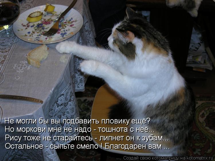 Не могли бы вы подбавить пловику ещё? Но моркови мне не надо - тошнота с неё... Рису тоже не старайте... Котоматрица: Не могли бы вы подбавить пловику ещё? Но моркови мне не надо - тошнота с неё... Рису тоже не старайтесь - липнет он к зубам... Остальное - сыпьте