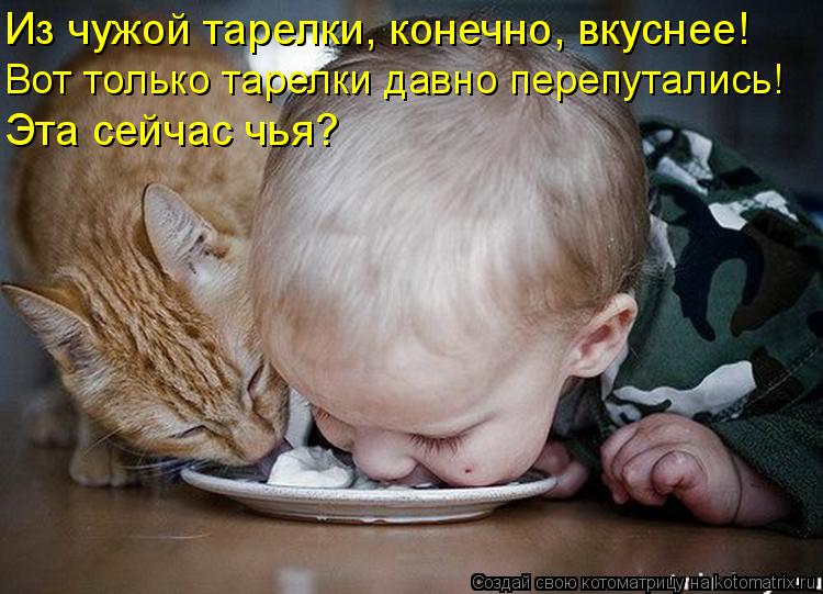 Котоматрица: Из чужой тарелки, конечно, вкуснее! Вот только тарелки давно перепутались! Эта сейчас чья?
