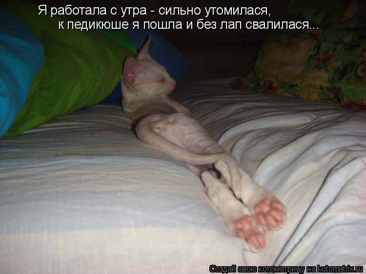 Я работала с утра - сильно утомилася, к педикюше я пошла и без лап свалилася... к педикюше я пошла и ... Котоматрица: Я работала с утра - сильно утомилася, к педикюше я пошла и без лап свалилася... к педикюше я пошла и без лап свалилася...