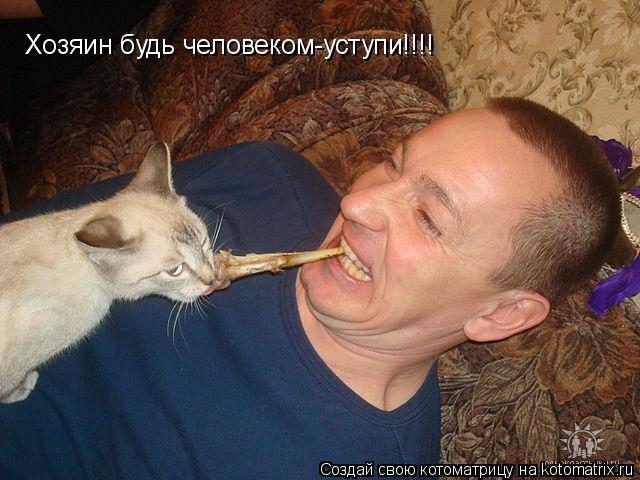 Хозяин будь человеком-уступи!!!!... Котоматрица: Хозяин будь человеком-уступи!!!!