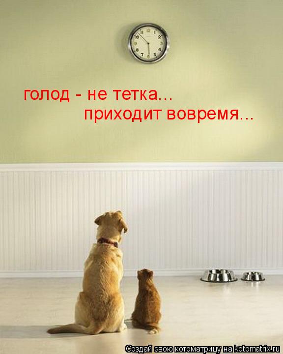 голод - не тетка... приходит вовремя...... Котоматрица: голод - не тетка... приходит вовремя...