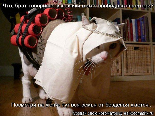 Что, брат, говоришь, у хозяйки много свободного времени? Посмотри на меня- тут вся семья от безделья ... Котоматрица: Что, брат, говоришь, у хозяйки много свободного времени? Посмотри на меня- тут вся семья от безделья мается...