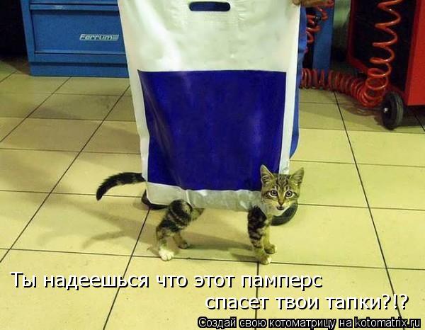Ты надеешься что этот памперс спасет твои тапки?!?... Котоматрица: Ты надеешься что этот памперс спасет твои тапки?!?