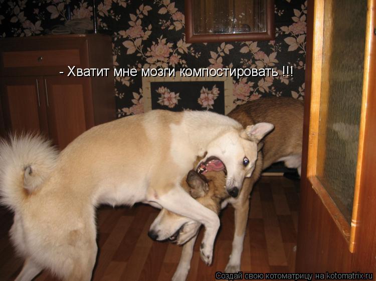 - Хватит мне мозги компостировать !!!... Котоматрица: - Хватит мне мозги компостировать !!!