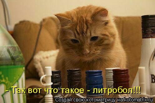 - Так вот что такое - литробол!!!... Котоматрица: - Так вот что такое - литробол!!!