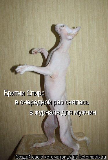 Бритни Спирс в очередной раз снялась в журнале для мужчин... Котоматрица: Бритни Спирс в очередной раз снялась в журнале для мужчин