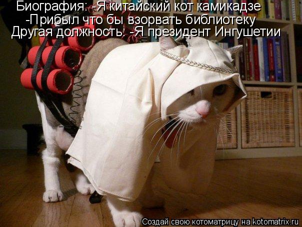 Котоматрица: Биография: -Я китайский кот камикадзе -Прибыл что бы взорвать библиотеку Другая должность: -Я президент Ингушетии