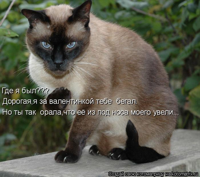 Где я был??? Дорогая,я за валентинкой тебе бегал. Но ты так орала,что её из под носа моего увели...... Котоматрица: Где я был??? Дорогая,я за валентинкой тебе бегал. Но ты так орала,что её из под носа моего увели...