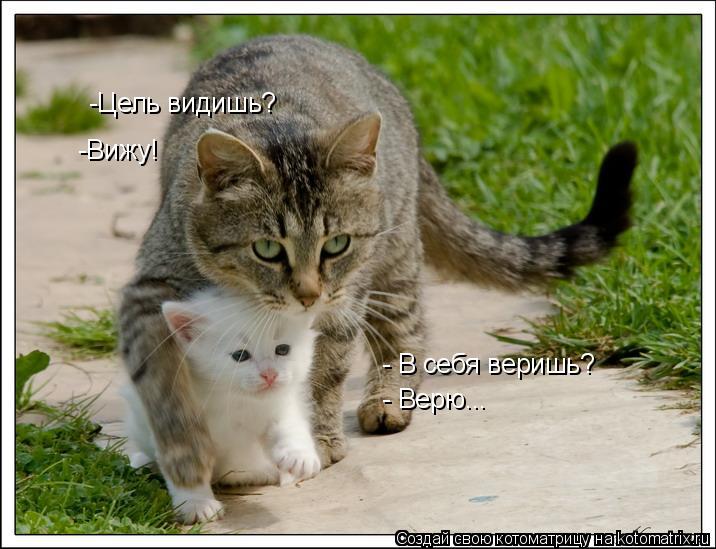 -Цель видишь? -Цель видишь? -Вижу! - В себя веришь? - Верю...... Котоматрица: -Цель видишь? -Цель видишь? -Вижу! - В себя веришь? - Верю...