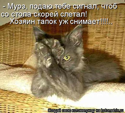 - Мурз, подаю тебе сигнал, чтоб со стола скорей слетал! Хозяин тапок уж снимает!!!!..... Котоматрица: - Мурз, подаю тебе сигнал, чтоб со стола скорей слетал! Хозяин тапок уж снимает!!!!..