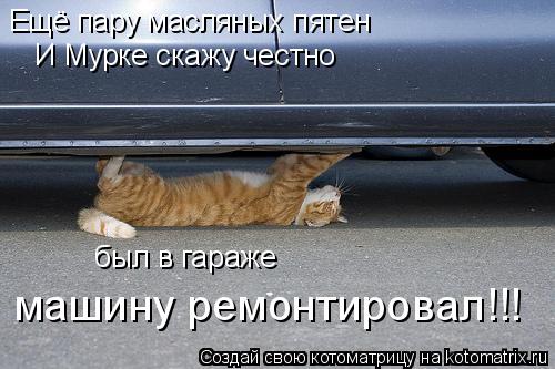 Ещё пару масляных пятен И Мурке скажу честно был в гараже машину ремонтировал!!!... Котоматрица: Ещё пару масляных пятен И Мурке скажу честно был в гараже машину ремонтировал!!!