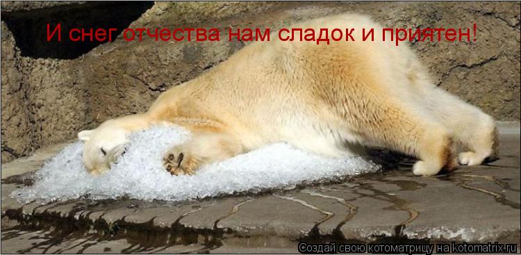 И снег отчества нам сладок и приятен!... Котоматрица: И снег отчества нам сладок и приятен!