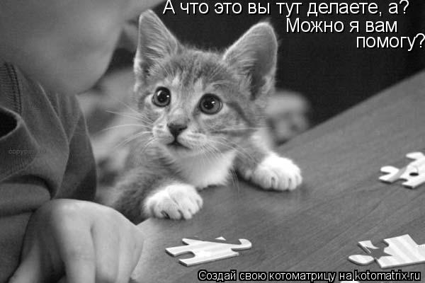 Котоматрица: А что это вы тут делаете, а?  Можно я вам  помогу?