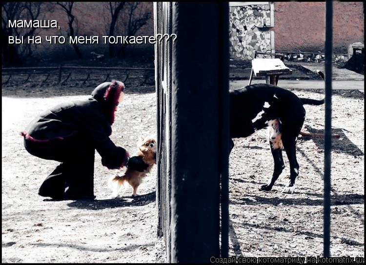 Котоматрица: мамаша, вы на что меня толкаете???