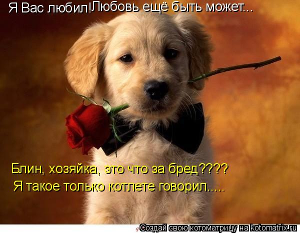 Котоматрица: Я Вас любил! Любовь ещё быть может... Блин, хозяйка, это что за бред???? Я такое только котлете говорил.....