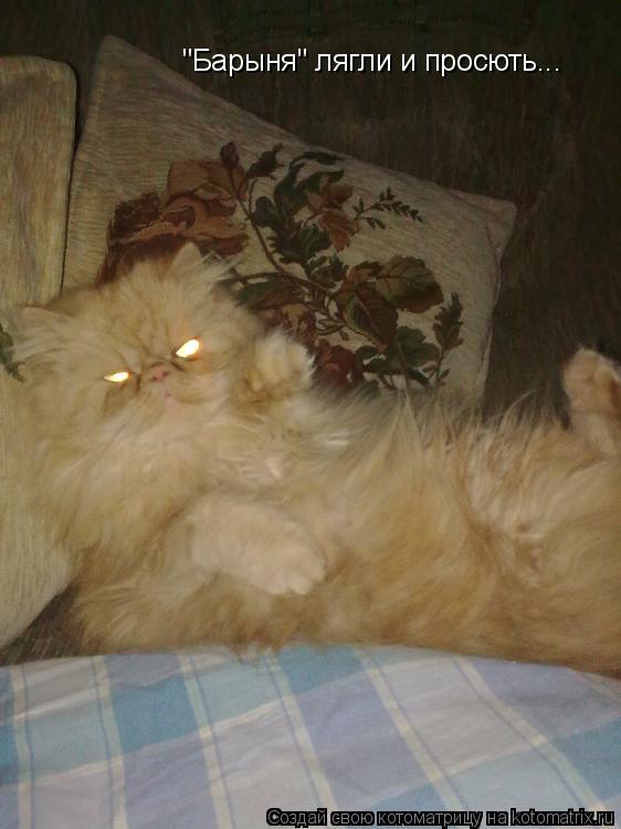"Барыня" лягли и просють...... Котоматрица: "Барыня" лягли и просють...