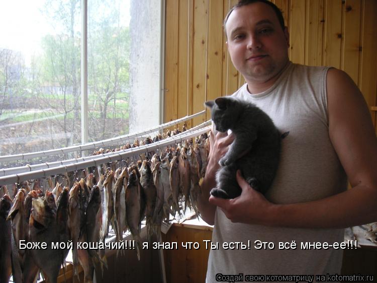 Боже мой кошачий!!! я знал что Ты есть! Это всё мнее-ее!!!... Котоматрица: Боже мой кошачий!!! я знал что Ты есть! Это всё мнее-ее!!!