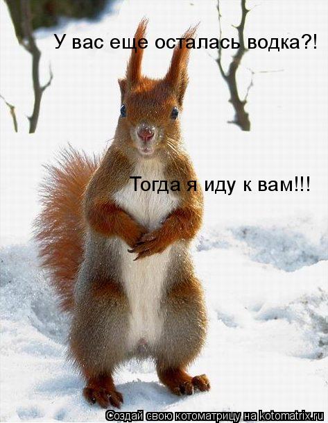 У вас еще осталась водка?! Тогда я иду к вам!!!... Котоматрица: У вас еще осталась водка?! Тогда я иду к вам!!!