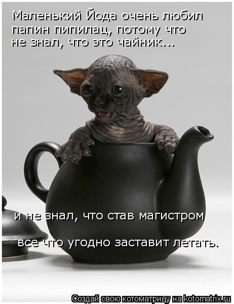 Маленький Йода очень любил папин пипилац, потому что не знал, что это чайник... и не знал, что став м... Котоматрица: Маленький Йода очень любил папин пипилац, потому что не знал, что это чайник... и не знал, что став магистром все что угодно заставит летать.