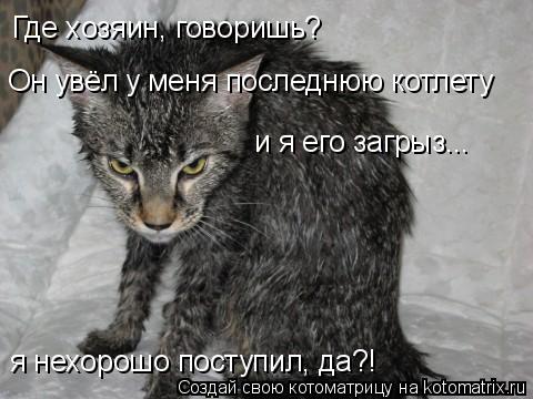 Где хозяин, говоришь? Он увёл у меня последнюю котлету и я его загрыз... я нехорошо поступил, да?!... Котоматрица: Где хозяин, говоришь? Он увёл у меня последнюю котлету и я его загрыз... я нехорошо поступил, да?!