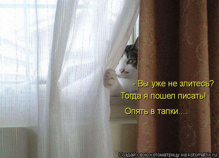 - Вы уже не злитесь? Тогда я пошел писать! Опять в тапки....... Котоматрица: - Вы уже не злитесь? Тогда я пошел писать! Опять в тапки....